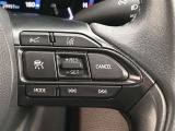 前方の車との車間を設定し、スピードを上げたり緩めたりを自動で行ってくれる追尾式の「レーダークルーズ」。上級装備の一つです!高級車にしかつかない嬉しい機能です。