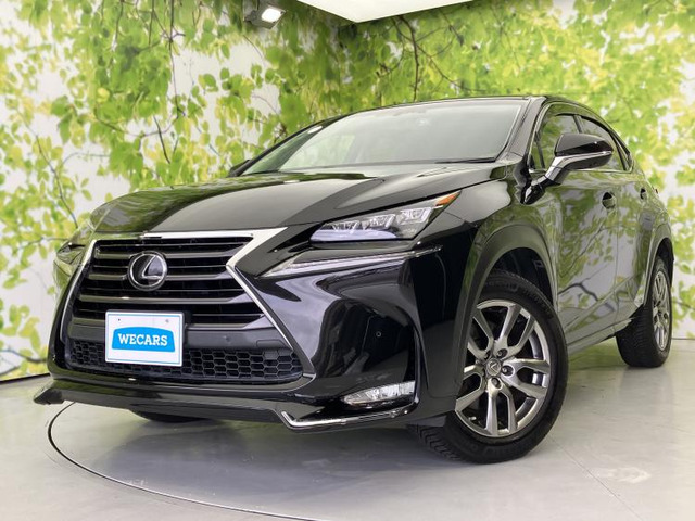 NX 200t Iパッケージ 