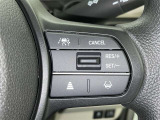 クルーズコントロール機能が付いています。 速度を設定するとアクセルを踏まなくても一定の速度で走ることができます。  高速道路ではとても便利な装置なんです。