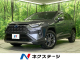全周囲カメラ BSM ハンズフリーパワーバックドア LEDヘッドランプ