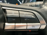 【レーダークルーズコントロール】ミリ波レーダーが車間距離を測って設定車速内で車速に比例した車間距離を保ちながら追従走行する装置で近づきすぎたときは自動でブレーキし、離れすぎたときには自動増速もする。