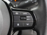◆アダプティブクルーズコントロール◆予め設定した車速内でクルマが自動的に加減速。前走車との適切な車間距離を維持しながら追従走行します。【LKAS】車線維持支援システムでステアリング操作を支援。