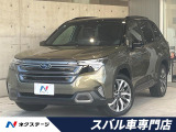 禁煙車 ルーフレール メーカーナビ 全方位カメラ ETC シートヒーター