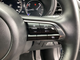 ミリ波レーダーで低速域〜高速域まで、先行車との車間を維持しながら追従走行を可能にします。長距離走行などでドライバーの負担を軽減します。