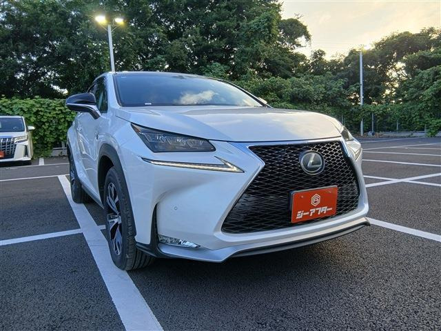NX 200t Fスポーツ 禁煙車 純正ナビ バックカメラ