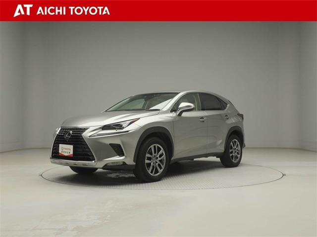 NX 300h バージョンL 