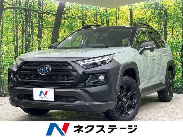 RAV4 2.5 ハイブリッド アドベンチャー オフロードパッケージ II E-Four 4WD