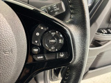 クルーズコントロールを装備しています。高速道路などで一定の速度で走ってくれるので運転が楽ですよ!速度を設定できますので、スピードの出しすぎにも注意できます。