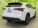 NX 300h Fスポーツ 
