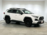 RAV4 2.0 アドベンチャー オフロードパッケージ II 4WD 