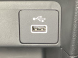 アクセサリーソケットの横にはナビゲーション用の外部入力可能なUSB端子がついています。