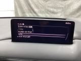 メーカーオプションTVチューナー付!