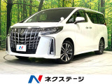 禁煙車 サンルーフ 後席モニター 純正9インチナビ バックカメラ ETC