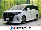 ムーンルーフ 両側電動スライドドア 純正14型メモリーナビ 衝突軽減装置