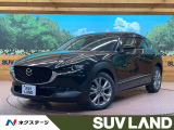スマートブレーキサポート レーダークルーズ 禁煙車 パワーバックドア
