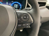 前方の車との車間を設定し、スピードを上げたり緩めたりを自動で行ってくれる追尾式の「レーダークルーズ」。上級装備の一つです!高級車にしかつかない嬉しい機能です。