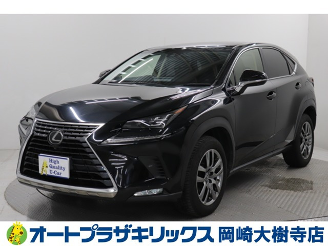 NX 300 バージョンL 4WD 