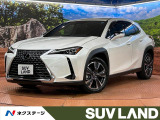 全周囲カメラ 100V電源 衝突被害軽減システム 電動リアゲート ETC