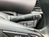 オートヘットライト付きなのでトンネルの多い道でも楽々ヘッドライト消し忘れもありません。早めの点灯で事故の抑止にも役立ってくれます。