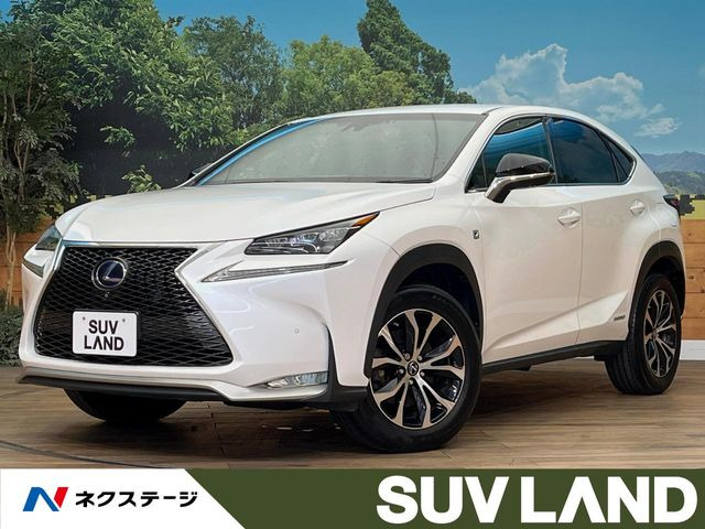 NX 300h Fスポーツ 