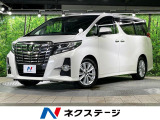 両側電動ドア SDナビ 禁煙車 ドラレコ コーナーセンサー スマートキー