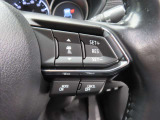 前車追従機能付きのレーダークルーズを備えています。自動で車間距離を調整してくれますので、アクセル操作の疲労軽減に繋がります。特に長距離を帰省される方にはお奨めですよ。