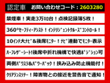 エルグランド 2.5 250ハイウェイスターS 10インチ大ナビ 低走行