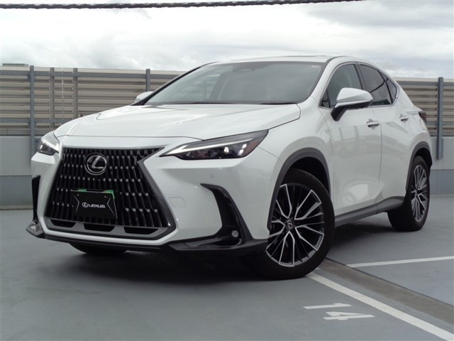 NX