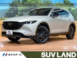全周囲カメラ 専用ハーフレザー レーダークルーズ ブラインドスポット