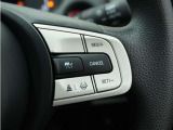 ◆アダプティブクルーズコントロール◆予め設定した車速内でクルマが自動的に加減速。前走車との適切な車間距離を維持しながら追従走行します。【LKAS】車線維持支援システムでステアリング操作を支援。