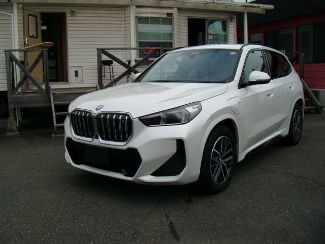 BMW iX1 