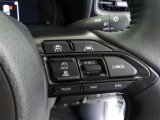 ステアリング右のスイッチにクルーズコントロール機能付き★高速走行時に前車との距離を保ちながら、一定速度での自動走行が可能です!