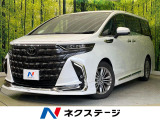 ムーンルーフ モデリスタエアロ 両側電動ドア 純正14型ナビ 衝突軽減