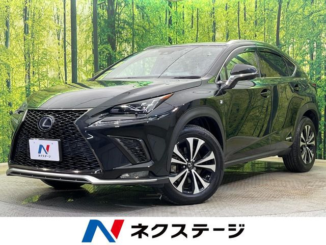 NX 300h Fスポーツ 
