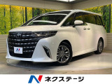 ガラスルーフ 14型ナビ 両側電動ドア 後席モニター 全周囲カメラ 衝突
