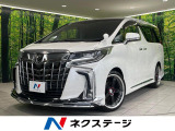 モデリスタフルエアロ 後席モニター BIGX11型ナビ バックカメラ