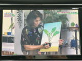 停車中にテレビや映像コンテンツを楽しめる機能が搭載されています。休憩時間にリラックスできる空間を提供します。