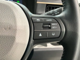 クルーズコントロールを装備しています。高速道路などで一定の速度で走ってくれるので運転が楽ですよ!速度を設定できますので、スピードの出しすぎにも注意できます。