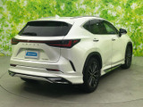 NX 250 