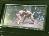 停車中には、地上デジタル放送をお楽しみいただけます。長距離移動の休憩時間に、番組をチェックするのもおすすめです。快適な時間を過ごせます。