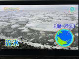 停車中にテレビやビデオを楽しめます。長距離移動の待ち時間や休憩時間に、リラックスした時間を過ごせます。快適なドライブのお供に。