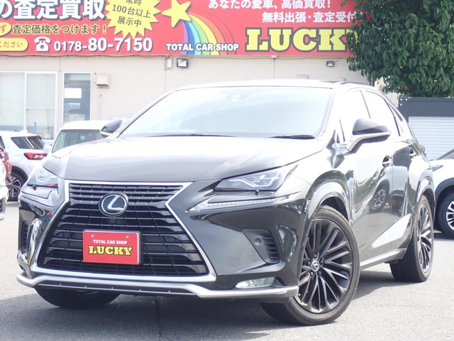 NX 300 スパイス&シック 4WD