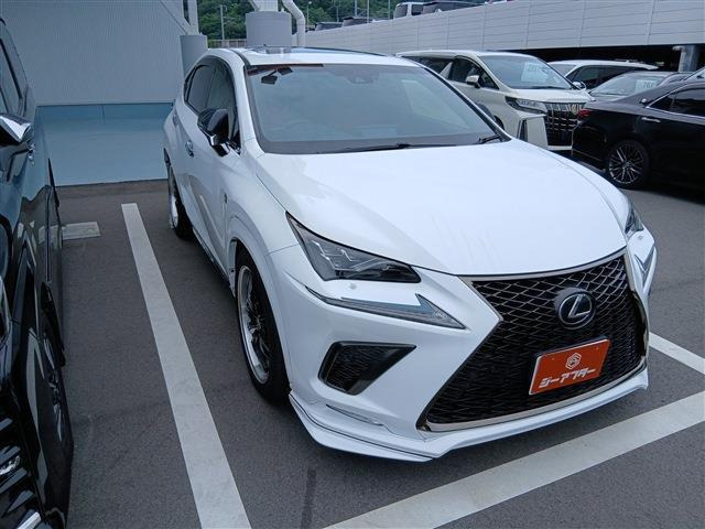 NX 300 Fスポーツ モデリスタフルエアロ サンルーフ