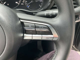 レーダークルーズ機能で前方の車両に一定の距離を開けて追従し、ブレーキも自動でかかります。