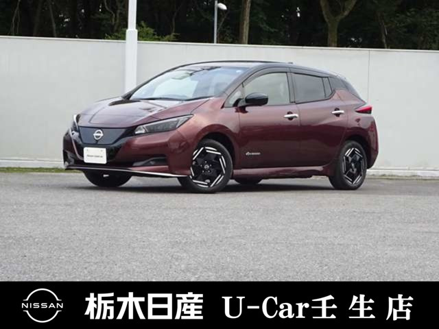 日産 リーフ 