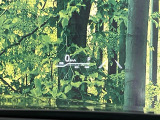 【ヘッドアップディスプレイ】現在の速度や走行情報をデジタル表示で運転席前方のガラスに投影!運転中、目線をずらさず必要な情報を確認できるのでとっても便利で安心!