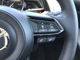 ハンドルにスイッチがたくさんついています。右はクルーズコントロールのスイッチで走行中も運転姿勢を崩すことなく設定できます。