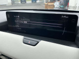 カープレイ・アンドロイドオーディオ対応・USB・Bluetooth・CD/DVD・HDMI・フルセグTVも付いてます