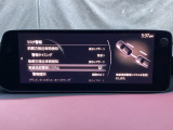 車線逸脱警報システム (LDWS) は自車が車線から逸脱する可能性があることを知らせる装置です。