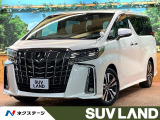 9型ナビフルセグ レーダークルーズ デジタルインナーミラー 両側電動ドア
